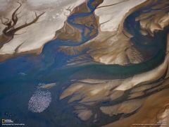 Tapeta National Geographic 290.jpg